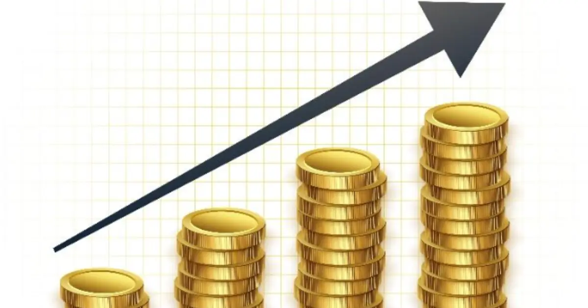 Roles of Gold Fluctuation in India
